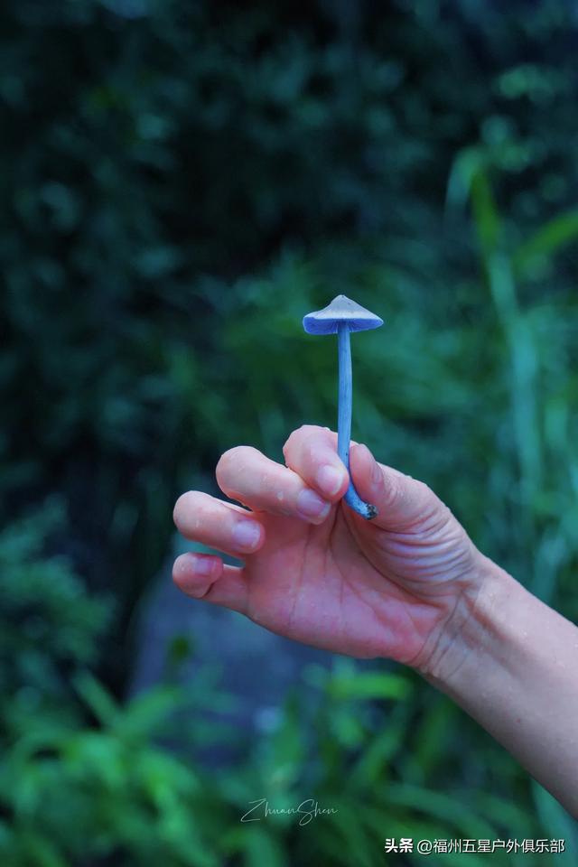 福州户外圣地——白云洞