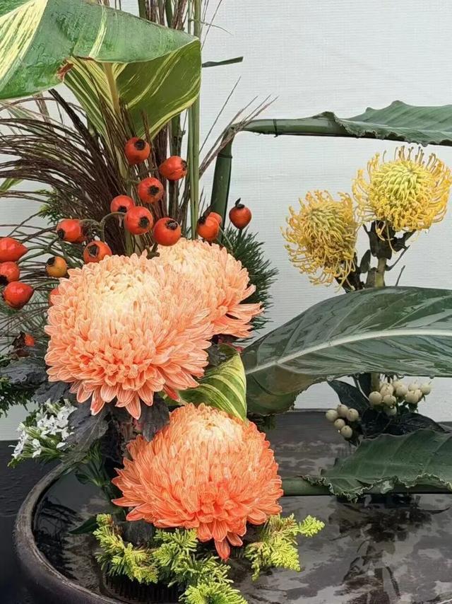 15万株绽放醉美菊花展，成都又美爆了！