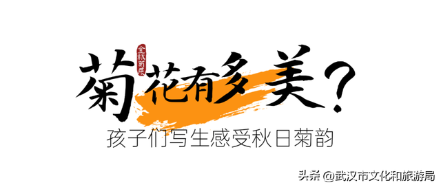 美到华妃都停步！最受欢迎的菊展打卡点就在这里