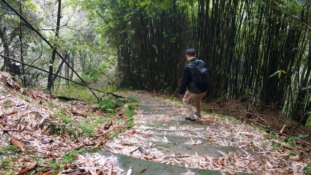 重庆南山被遗忘的千年古道，曾是重庆出川重要通道，如今成为秘境