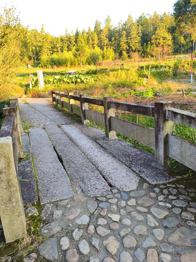 周宁自驾二日游：浦源村 (2025·10·5～6)