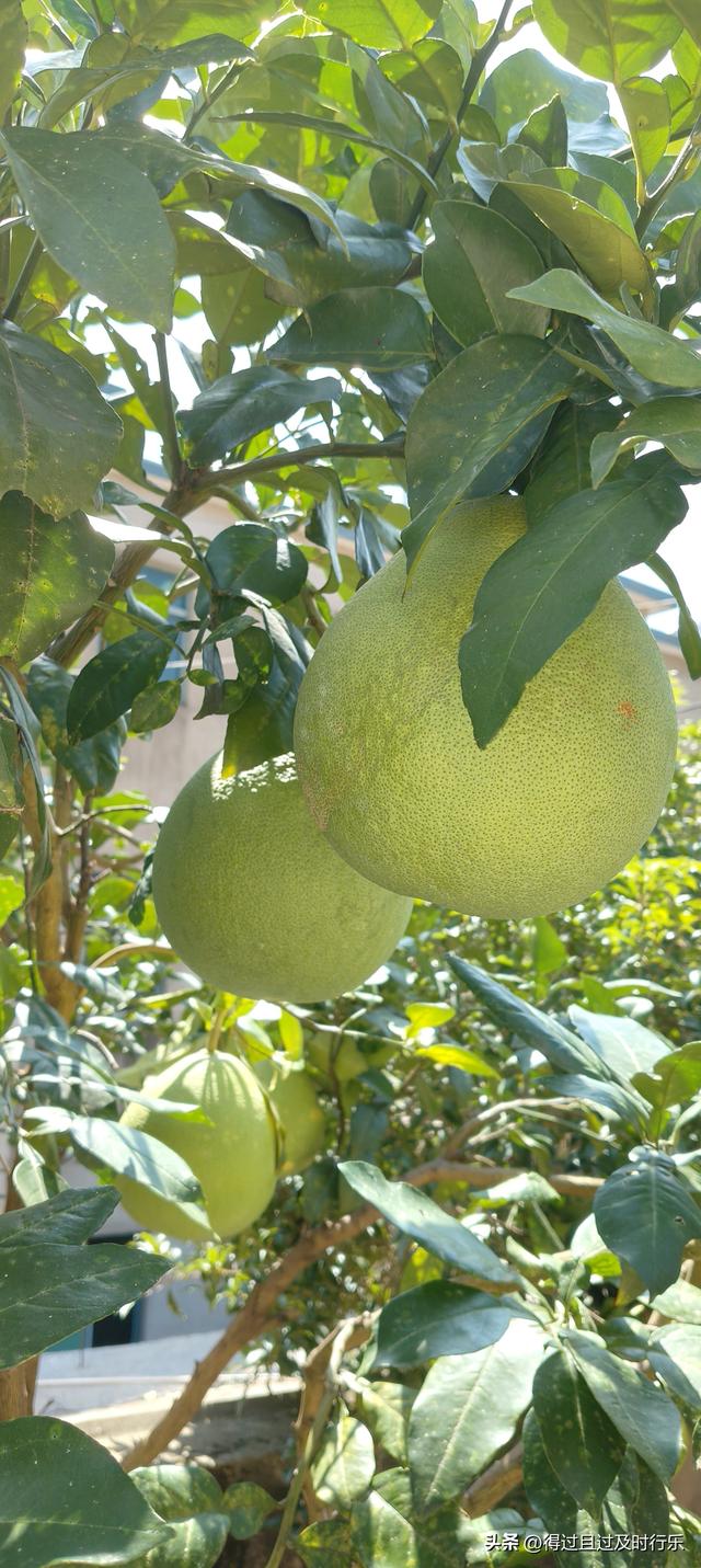 品味鄱阳湖大闸蟹，感受秋天的鲜美