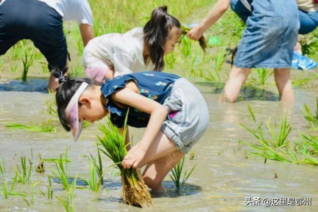 上新！鄂州新增一座“农场乐园”