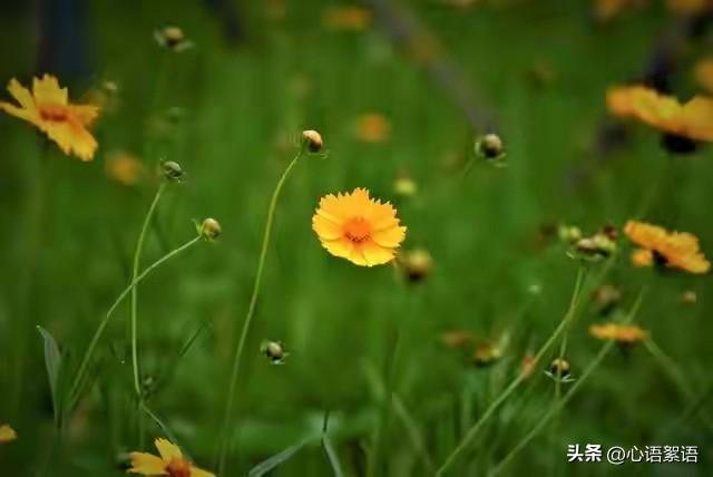 夫妻吵架后，高情商的人这样做！关系迅速回暖，你试过了吗
