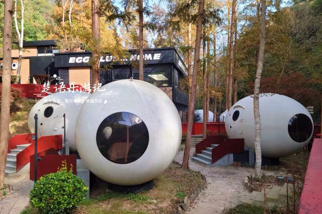 宁波这个丛林秘湖又火了，银杏与红枫美成油画，很适合拍照与休闲