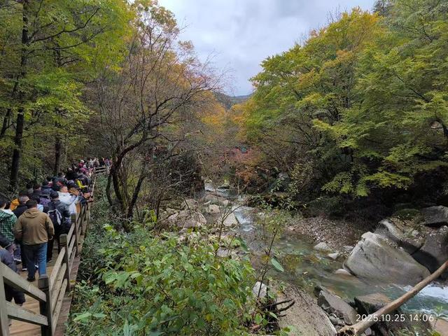 排队游览光雾山