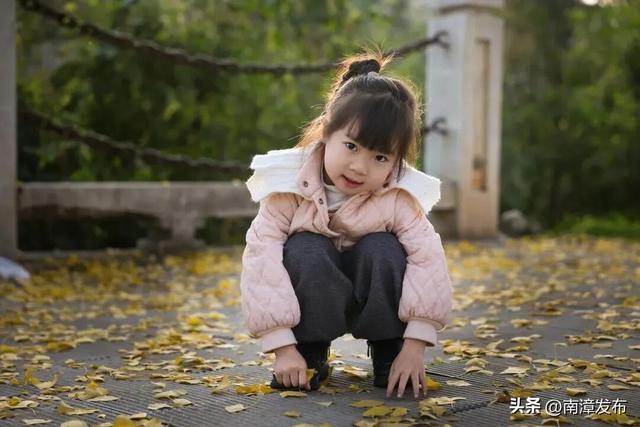 片片落叶，“拼”出一城风景