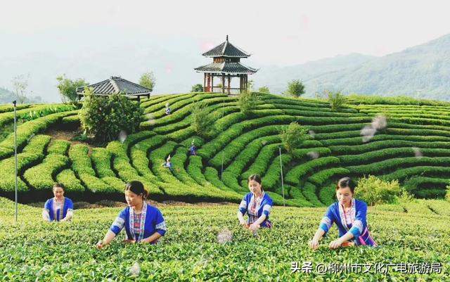 躲进三江的山水里，是治疗精神内耗的顶级解药