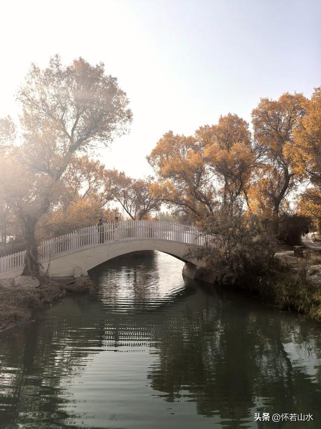 2025环南疆沙漠铁路背包自由行日记(4)——游览泽普金湖杨景区