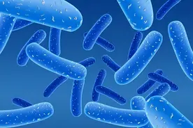 医生发现：几块钱的益生菌，加上维生素C，有这6个调理优势图片