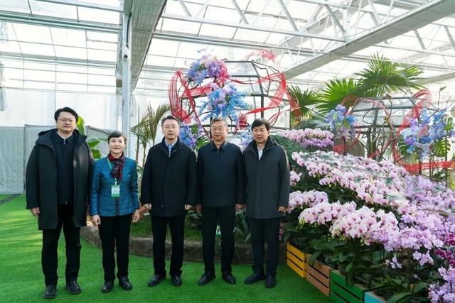 来逛超大冬日花果游园会，2026北京兰花文化嘉年华在昌平开幕 | 动态