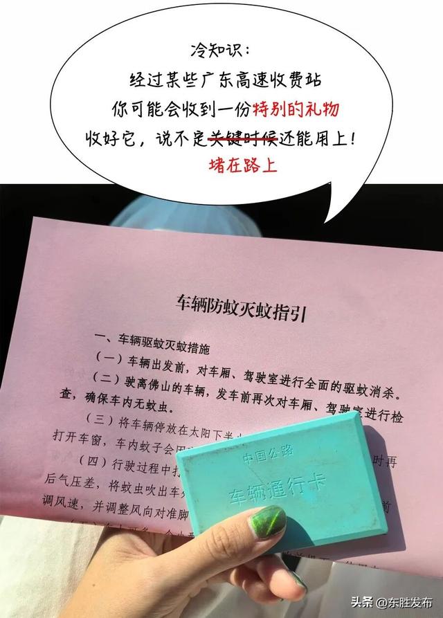 出行旅游注意安全