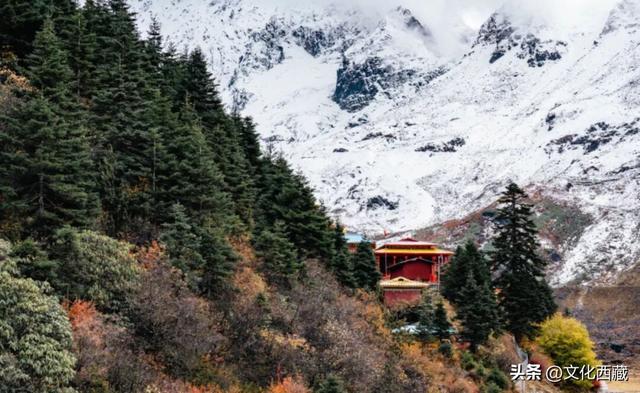 《奔跑吧》打卡西藏这个地方！明星同款旅游全攻略来了~