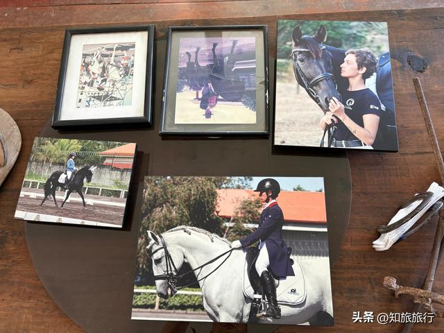 2025年环球知旅——海岛公主号邮轮（第九天）