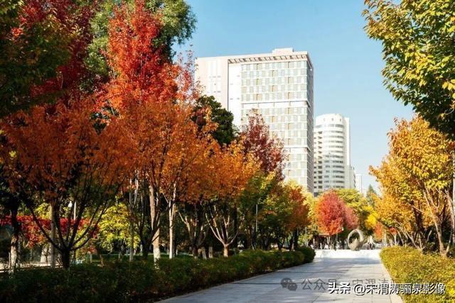 甘肃兰州：兰州两日游之兰州大学壮观大气 秋色盎然 美丽醉人