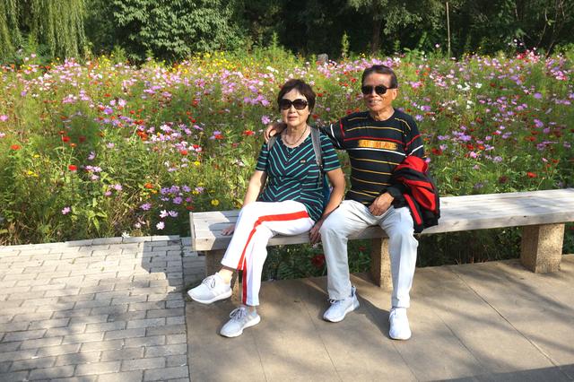 六问沈阳北塔公园空灵花海景点为何无花只有荒草