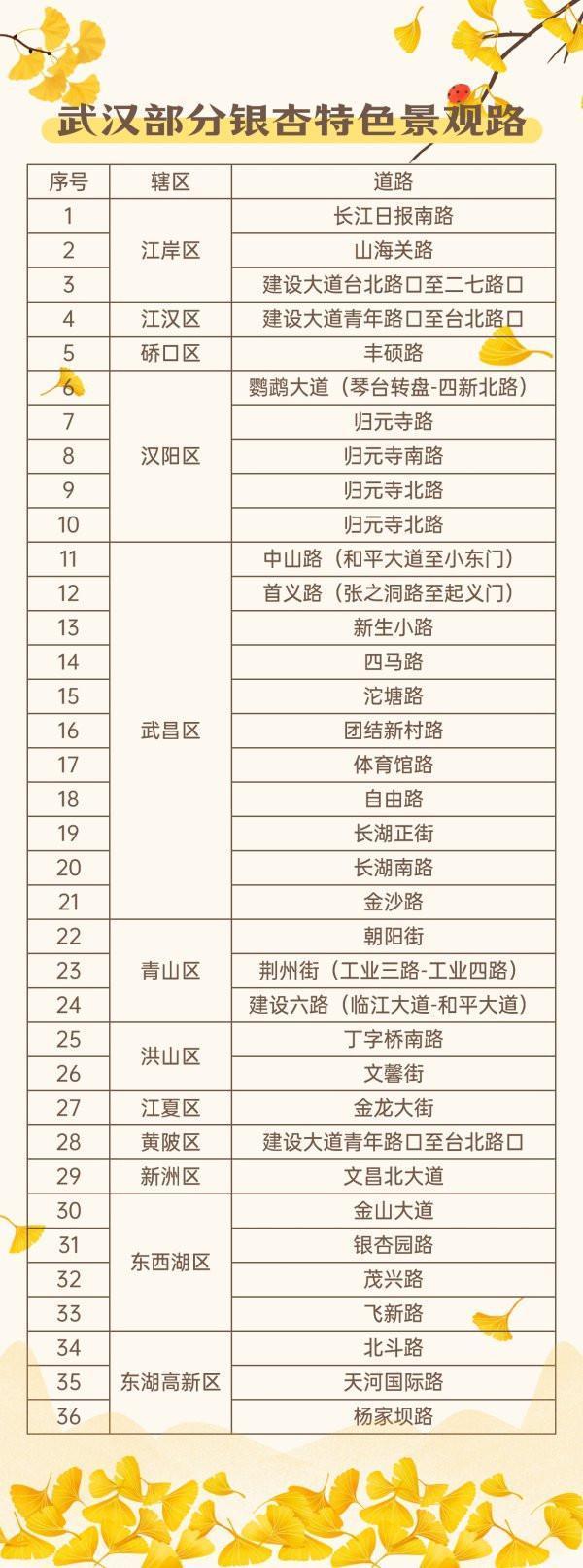 武汉街头4万株银杏披上“黄金甲”，这些地方是最佳观赏点