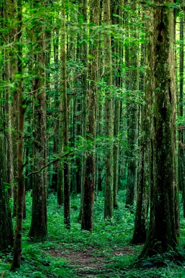 湖南到底哪里凉快!我劝你去这里→