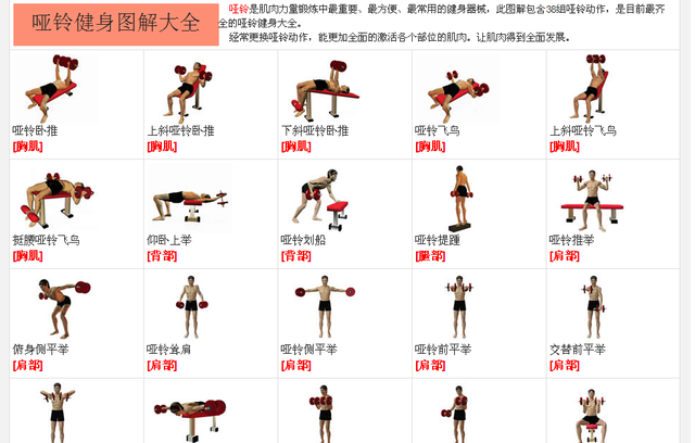 中老年人健身，为什么更需要增肌锻炼？
