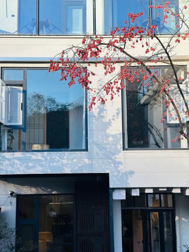 航小天带你看长安 | 来百塔寺村，品味冬日醇香