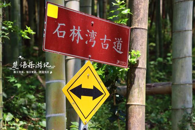 浙江宁波的竹林双古道，被誉为治愈系徒步胜地，景色宜人值得游玩
