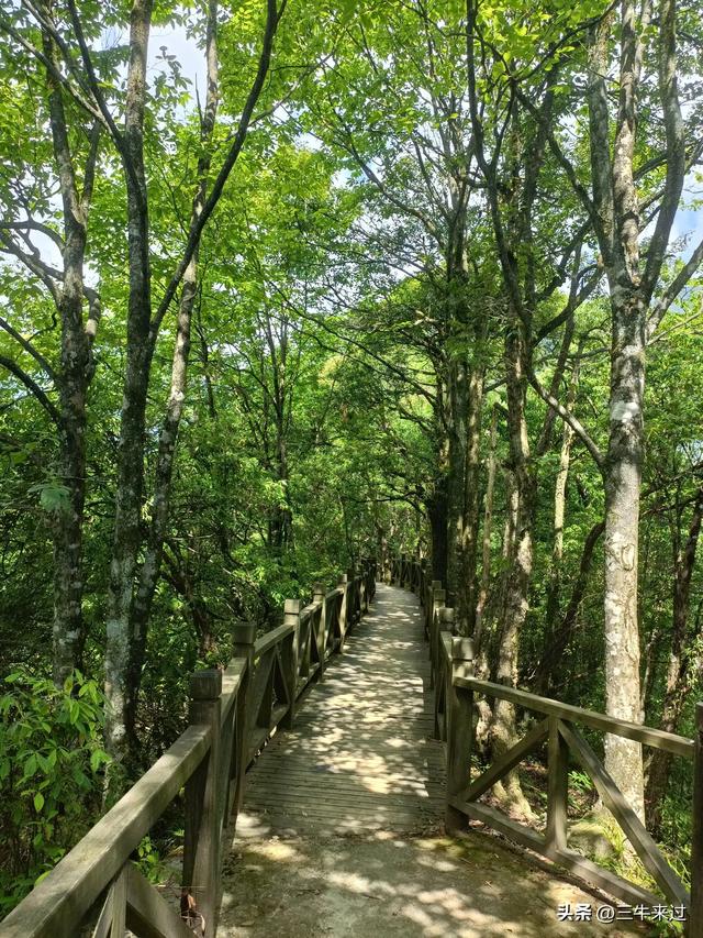 无为在歧路，贵州六日行（15）～梵净山