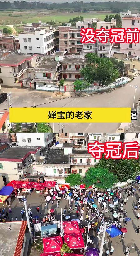 人民日报怒批：不能毫无下限！揭开全红婵真实处境，对她误会太深