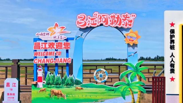 错峰出游 | 避开人潮，承包昌江这片“草原”