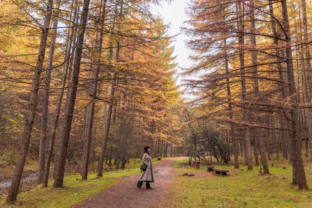 赏秋正当时！自驾来汉中，赴一场秋日视觉盛宴~