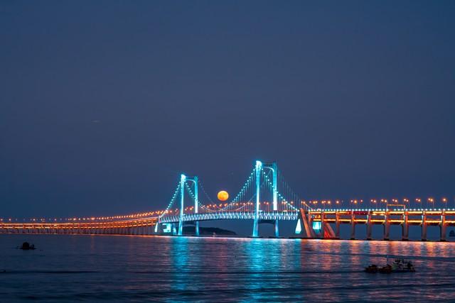 大连天价松40元一斤变一两