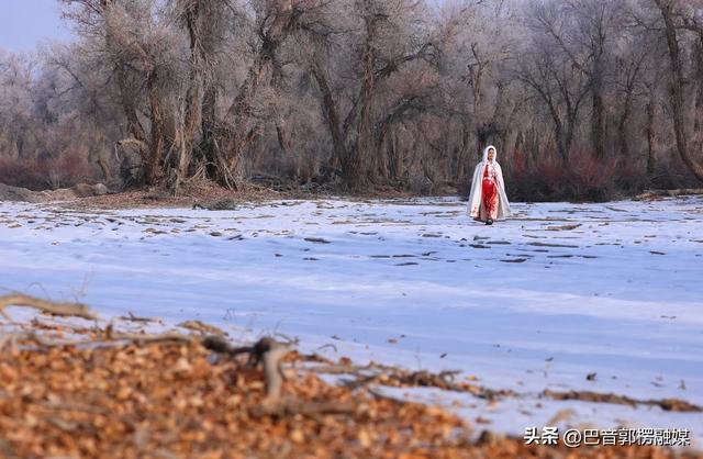 轮台胡杨林雾凇美出圈!这个冬天等你来打卡