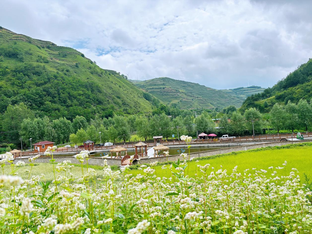 武山县杨河镇：山水酿清凉 云溪享夏梦（组图）