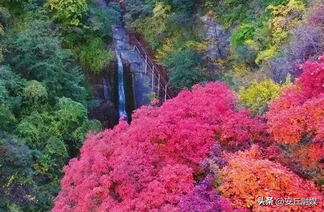 国庆自驾 “齐鲁天路”，上新活动全攻略出炉！