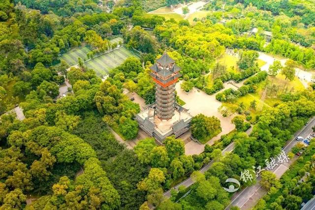 最后两天！家门口遛娃→
