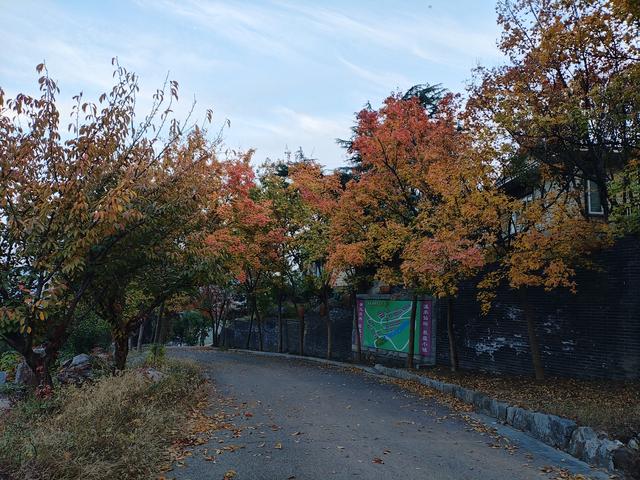 2025秋游：淮北临涣古镇.枣庄仙坛山温泉小镇