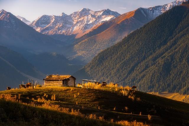 镀了金的新疆秋色，彩色绘就，五处秘境邂逅最诗意的天山南北