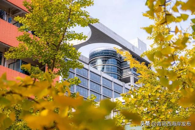 走不出这画了,我已被西海岸的秋景迷倒 🥹