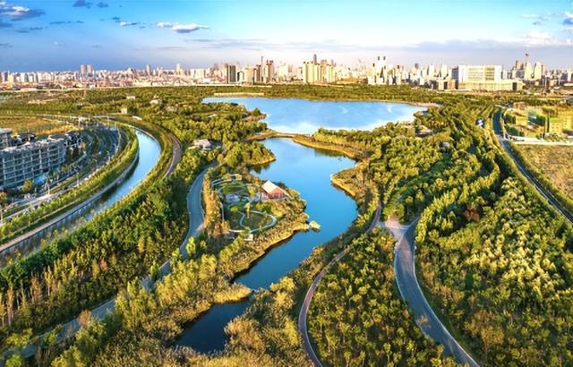 西青这里将新增AI游乐园！