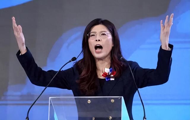 国民党主席位置坐稳，郑丽文摊牌了：两岸不回归和平，其他是侈谈