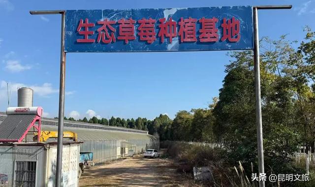 别再问昆明哪里能摘草莓了！收下这份采摘地图，直接抄作业→