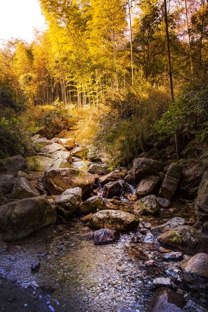 宜春人私藏的赏秋地图，这4个宝藏地，让摄影师都走不动路！