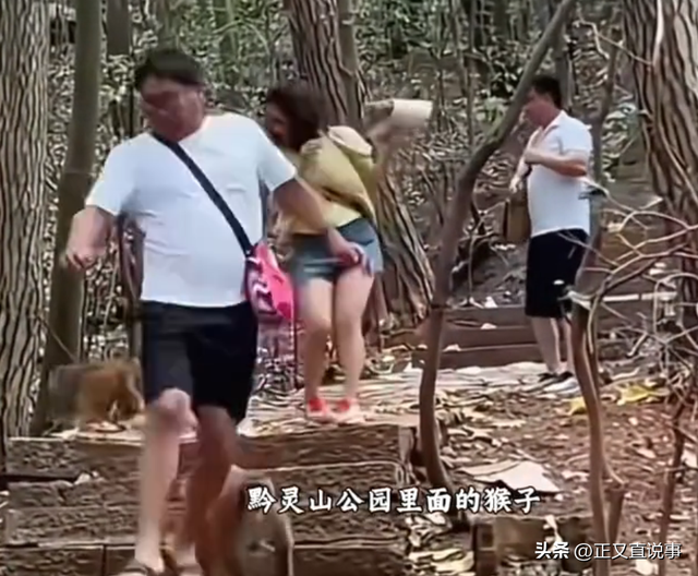 你打猴我打你！小伙威胁景区大爷，身份曝光被骂惨，景区力挺大爷