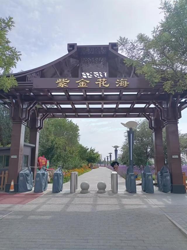 又踏甘肃地之三十五 金昌篇之五 紫金花海（1）