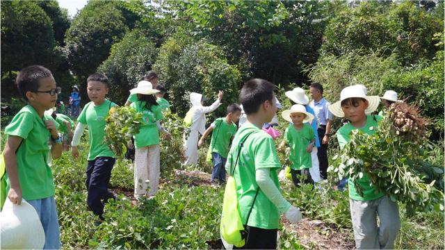 叙州区：两百名青少年田间研学 共享农耕文化盛宴