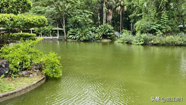 桂林：七星公园双节焕然一新