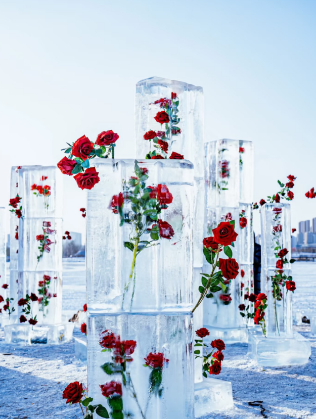 估计很多人还不知道，先蹲等开放