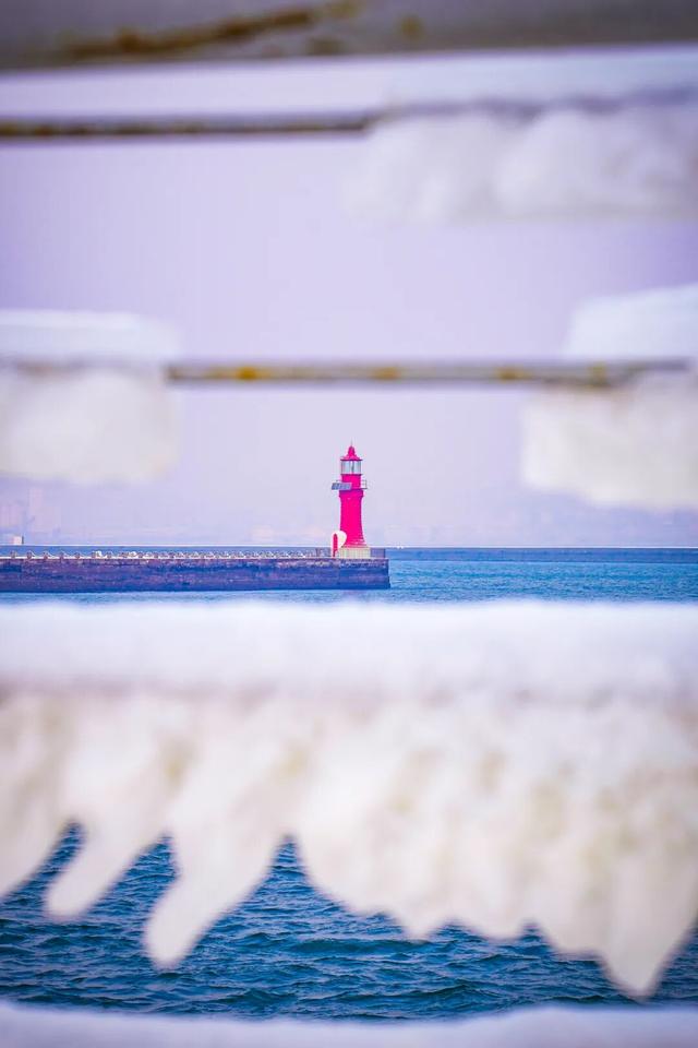 哥儿几个亮IP！大东北欢迎您！