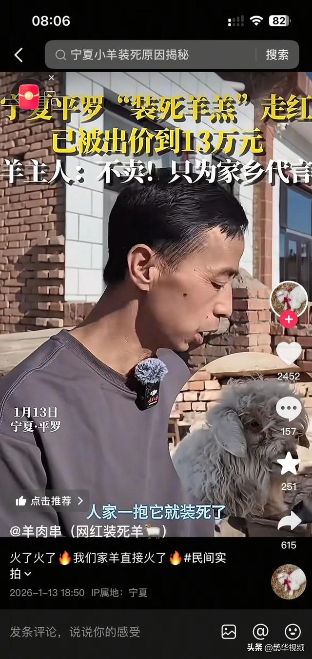 宁夏一小羊因装死走红，有人出价13万购买，羊主人：不卖，想借它的热度让大家了解家乡的羊肉、枸杞和八宝茶