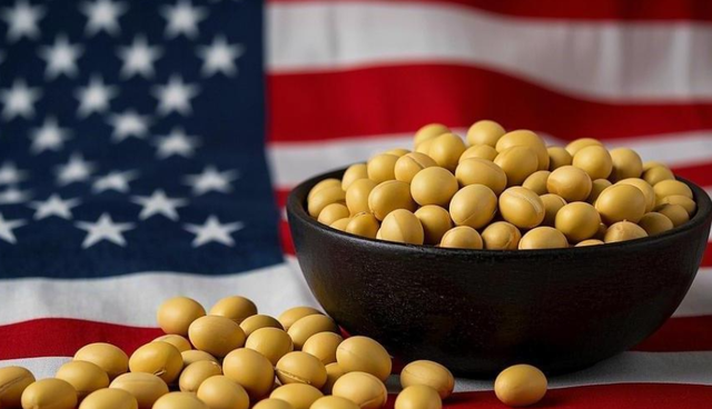 中美贸易休战才2周，中国对美大豆采购停滞，商务部回应话里有话