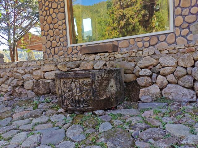 郁郁银杏无非般若，青青溪石尽是法身：宜春南惹古村印象（聂朋